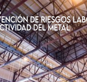 PREVENCION RIESGOS LABORALES ADMINISTRATIVOS (SECTOR METAL)